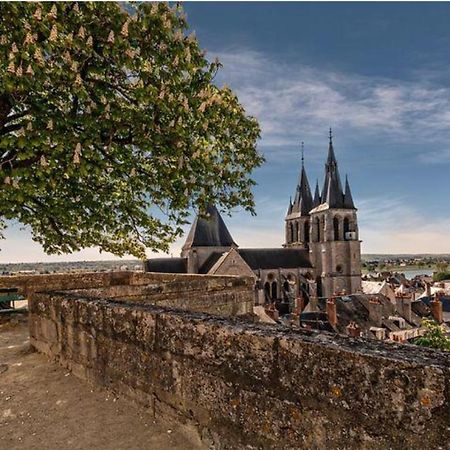 Appartement Coeur De Blois /Heart Of The City Esterno foto