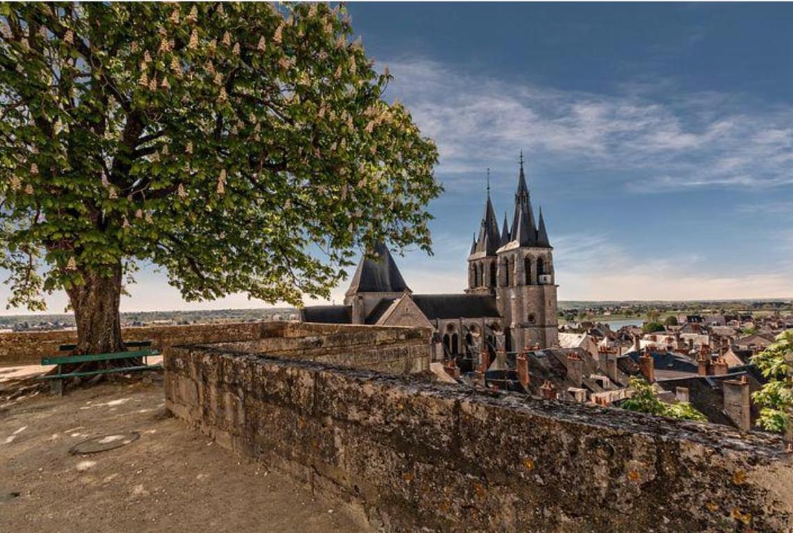 Appartement Coeur De Blois /Heart Of The City Esterno foto